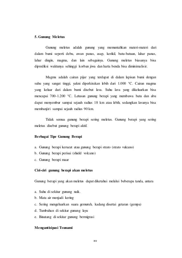 Makalah Bencana Alam 47419953