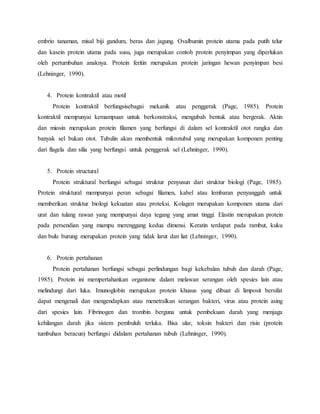 embrio tanaman, misal biji gandum, beras dan jagung. Ovalbumin protein utama pada putih telur
dan kasein protein utama pada susu, juga merupakan contoh protein penyimpan yang diperlukan
oleh pertumbuhan anaknya. Protein feritin merupakan protein jaringan hewan penyimpan besi
(Lehninger, 1990).
4. Protein kontraktil atau motil
Protein kontraktil berfungsisebagai mekanik atau penggerak (Page, 1985). Protein
kontraktil mempunyai kemampuan untuk berkonstraksi, mengubah bentuk atau bergerak. Aktin
dan miosin merupakan protein filamen yang berfungsi di dalam sel kontraktil otot rangka dan
banyak sel bukan otot. Tubulin akan membentuk mikrotubul yang merupakan komponen penting
dari flagela dan silia yang berfungsi untuk penggerak sel (Lehninger, 1990).
5. Protein structural
Protein struktural berfungsi sebagai struktur penyusun dari struktur biologi (Page, 1985).
Protein struktural mempunyai peran sebagai filamen, kabel atau lembaran penyanggah untuk
memberikan struktur biologi kekuatan atau proteksi. Kolagen merupakan komponen utama dari
urat dan tulang rawan yang mempunyai daya tegang yang amat tinggi. Elastin merupakan protein
pada persendian yang mampu merenggang kedua dimensi. Keratin terdapat pada rambut, kuku
dan bulu burung merupakan protein yang tidak larut dan liat (Lehninger, 1990).
6. Protein pertahanan
Protein pertahanan berfungsi sebagai perlindungan bagi kekebalan tubuh dan darah (Page,
1985). Protein ini mempertahankan organisme dalam melawan serangan oleh spesies lain atau
melindungi dari luka. Imunoglobin merupakan protein khusus yang dibuat di limposit bersifat
dapat mengenali dan mengendapkan atau menetralkan serangan bakteri, virus atau protein asing
dari spesies lain. Fibrinogen dan trombin berguna untuk pembekuan darah yang menjaga
kehilangan darah jika sistem pembuluh terluka. Bisa ular, toksin bakteri dan risin (protein
tumbuhan beracun) berfungsi didalam pertahanan tubuh (Lehninger, 1990).
 