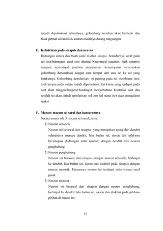 terjadi depolarisasi seluruhnya, gelombang tersebut akan berhenti dan
tidak pernah aliran balik kearah mulainya datang rangsangan.
E. Kelistrikan pada sinapsis dan neuron
Hubungan antara dua buah saraf disebut sinapsi, berakhirnya saraf pada
sel otot/hubungan saraf otot disebut Neuromyal junction. Baik sinapsis
maupun neuromyal junction mempunyai kemampuan meneruskan
gelombang depolarisasi dengan cara lompat dari satu sel ke sel yang
berikutnya. Gelombang depolarisasi ini penting pada sel membrane otot,
oleh karena pada waktu terjadi depolarisasi. Zat kimia yang terdapat pada
otot akan tringger/bergetar/berdenyut menyebabkan kontraksi otot dan
setelah itu akan terjadi repolarisasi sel otot hal mana otot akan mengalami
reaksi.
F. Macam-macam sel saraf dan hantarannya
Secara umum ada 3 macam sel saraf, yaitu:
1) Neuron sensorik
Neuron ini berawal dari reseptor, yang merupakan ujung dari dendrit
selanjutnya menuju dendrit, lalu badan sel, akson dan akhirnya
bersinapsis (hubungan antar neuron) dengan dendrit dari neuron
penghubung
2) Neuron penghubung
Neuron ini berawal dari sinapsis dengan neuron sensorik, berlanjut
ke dendrit, lalu badan sel, akson dan diakhiri pada sinapsis dengan
neuron motorik. Umumnya neuron ini terdapat pada sistem saraf
pusat.
3) Neuron motorik
Neuron ini berawal dari sinapsis dengan neuron penghubung,
berlanjut ke dendrit lalu badan sel, akson dan diakhiri pada pilihan-
pilihan di bawah ini:
10
 