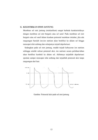 G. KELISTRIKAN OTOT JANTUNG
Membran sel otot jantung (miokardium) sangat berbeda karakteristiknya
dengan membran sel otot bergaris atau sel saraf. Pada membran sel otot
bergaris atau sel saraf dalam keadaan potensial membran istirahat, jika ada
rangsangan barulah ion-ion natrium akan berdifusi ke dalam sel hingga
mencapai nilai ambang dan selanjutnya terjadi depolarisasi.
Sedangkan pada sel otot jantung, mudah terjadi kebocoran ion natrium
sehingga setelah selesai potensial aksi, ion natrium secara perlahan-lahan
akan berdifusi kembali ke dalam sel. Akibatnya terjadilah depolarisasi
spontan sampai mencapai nilai ambang dan terjadilah potensial aksi tanpa
rangsangan dari luar.
Gambar: Potensial aksi pada sel otot jantung
13
 