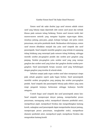 Gambar Sistem Saraf Tak Sadar (Saraf Otonom)
Sistem saraf tak sadar disebut juga saraf otonom adalah sistem
saraf yang bekerja tanpa diperintah oleh sistem saraf pusat dan terletak
khusus pada sumsum tulang belakang. Sistem saraf otonom terdiri dari
neuron-neuron motorik yang mengatur kegiatan organ-organ dalam,
misalnya jantung, paru-paru, ginjal, kelenjar keringat, otot polos sistem
pencernaan, otot polos pembuluh darah. Berdasarkan sifat kerjanya, sistem
saraf otonom dibedakan menjadi dua yaitu saraf simpatik dan saraf
parasimpatik. Saraf simpatik memiliki ganglion yang terletak di sepanjang
tulang belakang yang menempel pada sumsum tulang belakang, sehingga
memilki serabut pra-ganglion pendek dan serabut post ganglion yang
panjang. Serabut pra-ganglion yaitu serabut saraf yang yang menuju
ganglion dan serabut saraf yang keluar dari ganglion disebut serabut post-
ganglion. Saraf parasimpatik berupa susunan saraf yang berhubungan
dengan ganglion yang tersebar di seluruh tubuh.
Sebelum sampai pada organ serabut saraf akan mempunyai sinaps
pada sebuah ganglion seperti pada bagan berikut. Saraf parasimpatik
memiliki serabut pra-ganglion yang panjang dan serabut post-ganglion
pendek. Saraf simpatik dan parasimpatik bekerja pada efektor yang sama
tetapi pengaruh kerjanya berlawanan sehingga keduanya bersifat
antagonis.
Contoh fungsi saraf simpatik dan saraf parasimpatik antara lain:
Saraf simpatik mempercepat denyut jantung, memperlambat proses
pencernaan, merangsang ereksi, memperkecil diameter pembuluh arteri,
memperbesar pupil, memperkecil bronkus dan mengembangkan kantung
kemih, sedangkan saraf parasimpatik dapat memperlambat denyut jantung,
mempercepat proses pencernaan, menghambat ereksi, memperbesar
diameter pembuluh arteri, memperkecil pupil, mempebesar bronkus dan
mengerutkan kantung kemih.
7
 