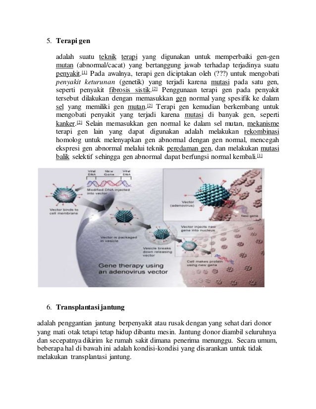 Makalah Biologi Tentang Teknologi Pada Sistem Peredaran Darah Kelas X Makalah Biologi Tentang Teknologi Pada Sistem Peredaran Darah Kelas X