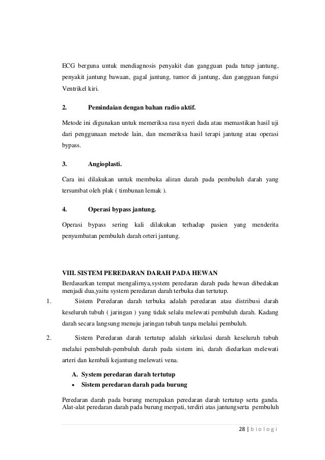 Made By Counterpoint Magazine Jelaskan Organ Peredaran Darah
