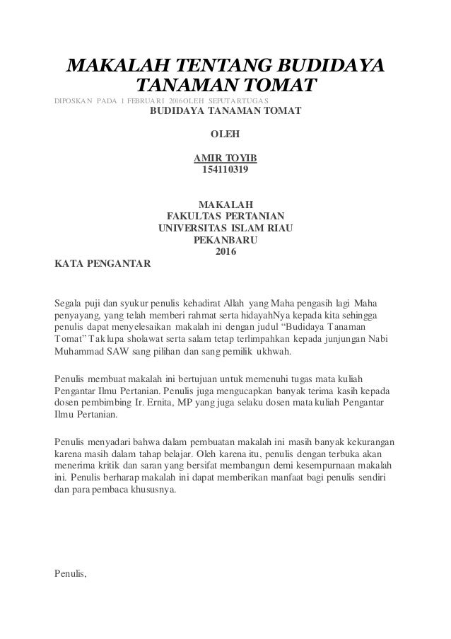 Makalah Budidaya Tomat