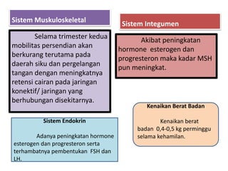 Sistem Muskuloskeletal
Selama trimester kedua
mobilitas persendian akan
berkurang terutama pada
daerah siku dan pergelangan
tangan dengan meningkatnya
retensi cairan pada jaringan
konektif/ jaringan yang
berhubungan disekitarnya.
Sistem Integumen
Akibat peningkatan
hormone esterogen dan
progresteron maka kadar MSH
pun meningkat.
Kenaikan Berat Badan
Kenaikan berat
badan 0,4-0,5 kg perminggu
selama kehamilan.
Sistem Endokrin
Adanya peningkatan hormone
esterogen dan progresteron serta
terhambatnya pembentukan FSH dan
LH.
 