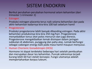 SISTEM ENDOKRIN
Berikut perubahan-perubahan hormonal selam kehamilan (dari
trimester 1-trimester 2)
• Estrogen
Produksi estrogen placenta terus naik selama kehamilan dan pada
akhir kehamilan kadarnya kira-kira 100 kali sebelum hamil
• Progesterone
Produksi progesterone lebih banyak dibanding estrogen. Pada akhir
kehamilan produksinya kira-kira 250 mg/hari. Progesterone
menyebabkan tonus otot polos menurun dan juga dieresis.
Progesterone mengakibatkan lemak disimpan dalam jaringan
subkutan di abdomen, punggung dan paha atas. Lemak berfungsi
sebagai cadangan energy baik pada masa hamil maupun menyusui.
• Human Chorionic Gonadotropin (HCG)
Hormone ini dapat terdeteksi beberapa hari setelah pembuahan
dan merupakan dasar tes kehamilan. Puncak sekresinya terjadi
kurang lebih 60 hari stelah konsepsi. Fungsi utamanya adalah
mempertahankan korpus luteum.
 