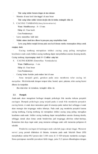 · Telur cacing tertelan bersama dengan air atau makanan
· Menetas di usus kecil dan tinggal di usus besar
· Telur cacing keluar melalui kotoran danjika telur ini tertelan, terulanglah siklus ini.
3. CACIN G TAMBAN G(Anc ylosto m ia s is )
Warna :MerahBesarnya : 8 - 13 mm
Hidup di : Usus keciL
Cara Penularannya:
· Larva menembus kulit kaki
· Melalui saluran darah larva dibawa keparu-paru yang menyebabkan batuk
· Larva yang ditelan menjadi dewasa pada usus kecil dimana mereka menancapkan dirinya untuk
mengisap darah.
· Cacing tambang merupakan infeksi cacing yang paling merugikan
kesehatan anak-anak.Infeksi cacing tambang dapat menyebabkan anemia (kurang darah).
Cacing tambang dapatmengisap darah 10-12mililiter setiap hari.
4. CACING KREMI (Enterobius Vermicularis)
Warna :PutihBesarnya : 1 cm
Hidup di : Usus besar
Cara Penularannya:
· Cacing betina bertelur pada malam hari di anus
· Anus menjadi gatal, garukan pada anus membawa telur cacing ini
menyebar. Melaluikontak dengan tempat tidur, bantal, sprei, pakaian, telur cacing kremi
dibawa ke tempatlain.
· Jika telur-telur ini termakan, terunglah siklus ini.
2.3. Dampak
Anak-anak akan mengalami berbagai dampak psikologis bila mereka terkena penyakit
cacingan. Dampak psikologis yang terjadi pada si anak bila menderita penyakit
cacing kremi, si anak akan merasakan gatal di anusnya pada malam hari sehingga si anak
akan menagis dan terganggu waktu tidurnya. Pada anak yag menderita penyakit karena
cacing tambang, Cacing tambang ini merupakan infeksi cacing yang paling merugikan
kesehatan anak-anak. Infeksi cacing tambang dapat menyebabkan anemia (kurang darah),
sehingga sianak akan lemas untuk beraktivitas jadi terganggu aktivitas sehari-harinya,
Konsetrasi dan daya ingat anak yang menurun sehingga anak sulit mencerna pelajaran di
sekolah.
Penderita cacingan di kalangan anak sekolah juga cukup tinggi. Menurut
survei yang pernah dilakukan di Jakarta, terutama pada anak Sekolah Dasar (SD)
menyebutkan sekitar 49,5 persen dari 3.160 siswa di 13 SD ternyata menderita cacingan.
Siswa perempuan memiliki prevalensi lebih tinggi, yaitu 51,5 persen dibandingkan dengan
 