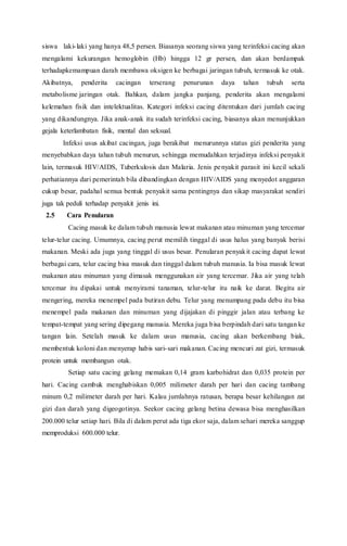 siswa laki-laki yang hanya 48,5 persen. Biasanya seorang siswa yang terinfeksi cacing akan
mengalami kekurangan hemoglobin (Hb) hingga 12 gr persen, dan akan berdampak
terhadapkemampuan darah membawa oksigen ke berbagai jaringan tubuh, termasuk ke otak.
Akibatnya, penderita cacingan terserang penurunan daya tahan tubuh serta
metabolisme jaringan otak. Bahkan, dalam jangka panjang, penderita akan mengalami
kelemahan fisik dan intelektualitas. Kategori infeksi cacing ditentukan dari jumlah cacing
yang dikandungnya. Jika anak-anak itu sudah terinfeksi cacing, biasanya akan menunjukkan
gejala keterlambatan fisik, mental dan seksual.
Infeksi usus akibat cacingan, juga berakibat menurunnya status gizi penderita yang
menyebabkan daya tahan tubuh menurun, sehingga memudahkan terjadinya infeksi penyakit
lain, termasuk HIV/AIDS, Tuberkulosis dan Malaria. Jenis penyakit parasit ini kecil sekali
perhatiannya dari pemerintah bila dibandingkan dengan HIV/AIDS yang menyedot anggaran
cukup besar, padahal semua bentuk penyakit sama pentingnya dan sikap masyarakat sendiri
juga tak peduli terhadap penyakit jenis ini.
2.5 Cara Penularan
Cacing masuk ke dalam tubuh manusia lewat makanan atau minuman yang tercemar
telur-telur cacing. Umumnya, cacing perut memilih tinggal di usus halus yang banyak berisi
makanan. Meski ada juga yang tinggal di usus besar. Penularan penyakit cacing dapat lewat
berbagai cara, telur cacing bisa masuk dan tinggal dalam tubuh manusia. Ia bisa masuk lewat
makanan atau minuman yang dimasak menggunakan air yang tercemar. Jika air yang telah
tercemar itu dipakai untuk menyirami tanaman, telur-telur itu naik ke darat. Begitu air
mengering, mereka menempel pada butiran debu. Telur yang menumpang pada debu itu bisa
menempel pada makanan dan minuman yang dijajakan di pinggir jalan atau terbang ke
tempat-tempat yang sering dipegang manusia. Mereka juga bisa berpindah dari satu tangan ke
tangan lain. Setelah masuk ke dalam usus manusia, cacing akan berkembang biak,
membentuk koloni dan menyerap habis sari-sari makanan. Cacing mencuri zat gizi, termasuk
protein untuk membangun otak.
Setiap satu cacing gelang memakan 0,14 gram karbohidrat dan 0,035 protein per
hari. Cacing cambuk menghabiskan 0,005 milimeter darah per hari dan cacing tambang
minum 0,2 milimeter darah per hari. Kalau jumlahnya ratusan, berapa besar kehilangan zat
gizi dan darah yang digeogotinya. Seekor cacing gelang betina dewasa bisa menghasilkan
200.000 telur setiap hari. Bila di dalam perut ada tiga ekor saja, dalam sehari mereka sanggup
memproduksi 600.000 telur.
 