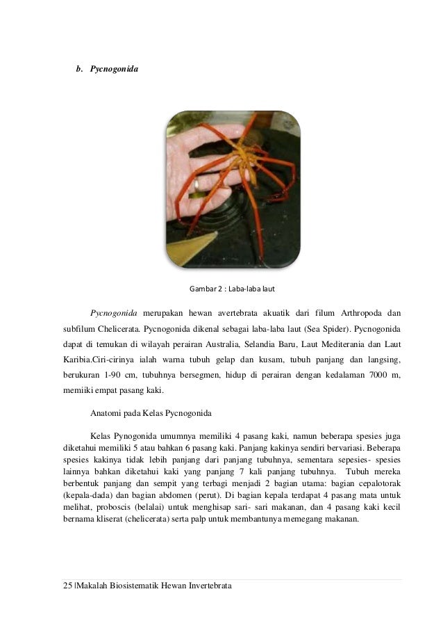 Makalah Celicerata 15996838