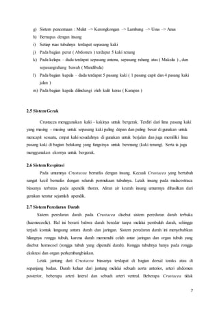 7
g) Sistem pencernaan : Mulut –> Kerongkongan –> Lambung –> Usus –> Anus
h) Bernapas dengan insang
i) Setiap ruas tubuhnya terdapat sepasang kaki
j) Pada bagian perut ( Abdomen ) terdapat 5 kaki renang
k) Pada kelapa – dada terdapat sepasang antena, sepasang rahang atas ( Maksila ) , dan
sepasangrahang bawah ( Mandibula)
l) Pada bagian kepala – dada terdapat 5 pasang kaki ( 1 pasang capit dan 4 pasang kaki
jalan )
m) Pada bagian kepala dilindungi oleh kulit keras ( Karapas )
2.5 Sistem Gerak
Crustacea menggunakan kaki – kakinya untuk bergerak. Terdiri dari lima pasang kaki
yang masing – masing untuk sepasang kaki paling depan dan paling besar di gunakan untuk
mencapit sesuatu, empat kaki sesudahnya di gunakan untuk berjalan dan juga memiliki lima
pasang kaki di bagian belakang yang fungsinya untuk berenang (kaki renang). Serta ia juga
menggunakan ekornya untuk bergerak.
2.6 Sistem Respirasi
Pada umumnya Crustacea bernafas dengan insang. Kecuali Crustacea yang bertubuh
sangat kecil bernafas dengan seluruh permukaan tubuhnya. Letak insang pada malacostraca
biasanya terbatas pada apendik thorax. Aliran air kearah insang umumnya dihasilkan dari
gerakan teratur sejumlah apendik.
2.7 Sistem Peredaran Darah
Sistem peredaran darah pada Crustacea disebut sistem peredaran darah terbuka
(haemocoelic). Hal ini berarti bahwa darah beredar tanpa melalui pembuluh darah, sehingga
terjadi kontak langsung antara darah dan jaringan. Sistem peredaran darah ini menyebabkan
hilangnya rongga tubuh, karena darah memenuhi celah antar jaringan dan organ tubuh yang
disebut homocoel (rongga tubuh yang dipenuhi darah). Rongga tubuhnya hanya pada rongga
ekskresi dan organ perkembangbiakan.
Letak jantung dari Crustacea biasanya terdapat di bagian dorsal toraks atau di
sepanjang badan. Darah keluar dari jantung melalui sebuah aorta anterior, arteri abdomen
posterior, beberapa arteri lateral dan sebuah arteri ventral. Beberapa Crustacea tidak
 