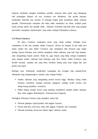 11
berperan membantu mengatur kedudukan apendik, semacam indra gerak yang dirangsang
oleh peregangan diantara sel otot, kontraksi otot diskitarnya. Alat peraba biasanya
membentuk bulu-bulu dan tersebar di berbagai tempat pada permukaan tubuh, terutama
apendik. Chemoreceptor merupakn alat indra untuk mendeteksi zat kimia, terdapat pada
kedua pasang antena dan apendik mulut . Esthetasc berbentuk bulu-bulu indra yang panjang
dan lembut merupakan chemoreseptor yang umum terdapat kebanyakan crustacea.
2.12 Peran Crustacea
Di alam, Crustacea mempunyai peran yang cukup penting. Sebagian besar
zooplankton di laut dan samudra adalah Crustacea. Hewan ini terdapat di laut mulai dari
pantai sampai laut yang dalam. Crustacea juga mempunyai nilai ekonomi yang sangat
penting, karena beberapa jenis tertentu merupakan bahan makanan yang baik bagi manusia,
yaitu mengandung banyak protein. Selain itu, juga banyak yang hidup sebagai zooplankton
yang menjadi sumber makanan bagi beberapa jenis ikan. Hanya sedikit Crustacea yang
bersifat merusak, misalnya ada yang biasa membuat lubang pada kayu bagian luar dari
perahu atau kapal.
Berbagai jenis Arthropoda memberikan keuntungan dan kerugian bagi manusia.Peran
arthropoda yang menguntungkan manusia yaitu sebagai berikut :
 Sumber makanan yang mengandung protein hewani tinggi. Misalnya Udang windu
(Panaeus monodon), rajungan (portunus pelagicus), kepiting (scylla serrata), dan
udang karang (panulirus versicolor).
 Dalam bidang ekologi, hewan yang tergolong zooplankton menjadi sumber makanan
ikan, misal anggota Branchiopoda, Ostracoda dan Copepoda.
Sedangkan beberapa Crustacea yang merugikan antara lain:
 Merusak galangan kapal (perahu) oleh anggota Isopoda.
 Parasit pada ikan, kura-kura, misal oleh anggota Cirripedia dan Copepoda.
 Merusak pematang sawah atau saluran irigasi misalnya ketam.
 