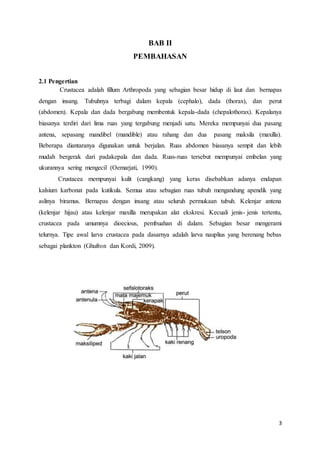 3
BAB II
PEMBAHASAN
2.1 Pengertian
Crustacea adalah fillum Arthropoda yang sebagian besar hidup di laut dan bernapas
dengan insang. Tubuhnya terbagi dalam kepala (cephalo), dada (thorax), dan perut
(abdomen). Kepala dan dada bergabung membentuk kepala-dada (chepalothorax). Kepalanya
biasanya terdiri dari lima ruas yang tergabung menjadi satu. Mereka mempunyai dua pasang
antena, sepasang mandibel (mandible) atau rahang dan dua pasang maksila (maxilla).
Beberapa diantaranya digunakan untuk berjalan. Ruas abdomen biasanya sempit dan lebih
mudah bergerak dari padakepala dan dada. Ruas-ruas tersebut mempunyai embelan yang
ukurannya sering mengecil (Oemarjati, 1990).
Crustacea mempunyai kulit (cangkang) yang keras disebabkan adanya endapan
kalsium karbonat pada kutikula. Semua atau sebagian ruas tubuh mengandung apendik yang
aslinya biramus. Bernapas dengan insang atau seluruh permukaan tubuh. Kelenjar antena
(kelenjar hijau) atau kelenjar maxilla merupakan alat ekskresi. Kecuali jenis- jenis tertentu,
crustacea pada umumnya dioecious, pembuahan di dalam. Sebagian besar mengerami
telurnya. Tipe awal larva crustacea pada dasarnya adalah larva nauplius yang berenang bebas
sebagai plankton (Ghufron dan Kordi, 2009).
 