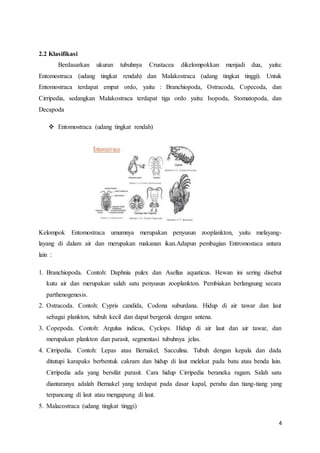 4
2.2 Klasifikasi
Berdasarkan ukuran tubuhnya Crustacea dikelompokkan menjadi dua, yaitu:
Entomostraca (udang tingkat rendah) dan Malakostraca (udang tingkat tinggi). Untuk
Entomostraca terdapat empat ordo, yaitu : Branchiopoda, Ostracoda, Copecoda, dan
Cirripedia, sedangkan Malakostraca terdapat tiga ordo yaitu: Isopoda, Stomatopoda, dan
Decapoda
 Entomostraca (udang tingkat rendah)
Kelompok Entomostraca umumnya merupakan penyusun zooplankton, yaitu melayang-
layang di dalam air dan merupakan makanan ikan.Adapun pembagian Entromostaca antara
lain :
1. Branchiopoda. Contoh: Daphnia pulex dan Asellus aquaticus. Hewan ini sering disebut
kutu air dan merupakan salah satu penyusun zooplankton. Pembiakan berlangsung secara
parthenogenesis.
2. Ostracoda. Contoh: Cypris candida, Codona suburdana. Hidup di air tawar dan laut
sebagai plankton, tubuh kecil dan dapat bergerak dengan antena.
3. Copepoda. Contoh: Argulus indicus, Cyclops. Hidup di air laut dan air tawar, dan
merupakan plankton dan parasit, segmentasi tubuhnya jelas.
4. Cirripedia. Contoh: Lepas atau Bernakel, Sacculina. Tubuh dengan kepala dan dada
ditutupi karapaks berbentuk cakram dan hidup di laut melekat pada batu atau benda lain.
Cirripedia ada yang bersifat parasit. Cara hidup Cirripedia beraneka ragam. Salah satu
diantaranya adalah Bernakel yang terdapat pada dasar kapal, perahu dan tiang-tiang yang
terpancang di laut atau mengapung di laut.
5. Malacostraca (udang tingkat tinggi)
 