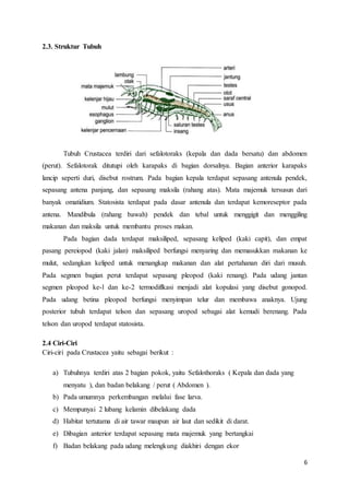 6
2.3. Struktur Tubuh
Tubuh Crustacea terdiri dari sefalotoraks (kepala dan dada bersatu) dan abdomen
(perut). Sefalotorak ditutupi oleh karapaks di bagian dorsalnya. Bagian anterior karapaks
lancip seperti duri, disebut rostrum. Pada bagian kepala terdapat sepasang antenula pendek,
sepasang antena panjang, dan sepasang maksila (rahang atas). Mata majemuk tersusun dari
banyak omatidium. Statosista terdapat pada dasar antenula dan terdapat kemoreseptor pada
antena. Mandibula (rahang bawah) pendek dan tebal untuk menggigit dan menggiling
makanan dan maksila untuk membantu proses makan.
Pada bagian dada terdapat maksiliped, sepasang keliped (kaki capit), dan empat
pasang pereiopod (kaki jalan) maksiliped berfungsi menyaring dan memasukkan makanan ke
mulut, sedangkan keliped untuk menangkap makanan dan alat pertahanan diri dari musuh.
Pada segmen bagian perut terdapat sepasang pleopod (kaki renang). Pada udang jantan
segmen pleopod ke-l dan ke-2 termodiflkasi menjadi alat kopulasi yang disebut gonopod.
Pada udang betina pleopod berfungsi menyimpan telur dan membawa anaknya. Ujung
posterior tubuh terdapat telson dan sepasang uropod sebagai alat kemudi berenang. Pada
telson dan uropod terdapat statosista.
2.4 Ciri-Ciri
Ciri-ciri pada Crustacea yaitu sebagai berikut :
a) Tubuhnya terdiri atas 2 bagian pokok, yaitu Sefalothoraks ( Kepala dan dada yang
menyatu ), dan badan belakang / perut ( Abdomen ).
b) Pada umumnya perkembangan melalui fase larva.
c) Mempunyai 2 lubang kelamin dibelakang dada
d) Habitat tertutama di air tawar maupun air laut dan sedikit di darat.
e) Dibagian anterior terdapat sepasang mata majemuk yang bertangkai
f) Badan belakang pada udang melengkung diakhiri dengan ekor
 