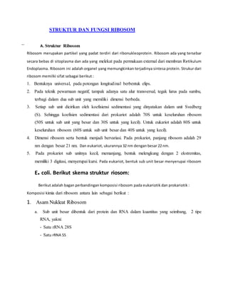 STRUKTUR DAN FUNGSI RIBOSOM
`` A. Struktur Ribosom
Ribosom merupakan partikel yang padat terdiri dari ribonukleoprotein. Ribosom ada yang tersebar
secara bebas di sitoplasma dan ada yang melekat pada permukaan external dari membran Retikulum
Endoplasma. Ribosom ini adalah organel yang memungkinkan terjadinya sintesa protein. Strukur dari
ribosom memilki sifat sebagai berikut :
1. Bentuknya universal, pada potongan longitudinal berbentuk elips.
2. Pada teknik pewarnaan negatif, tampak adanya satu alur transversal, tegak lurus pada sumbu,
terbagi dalam dua sub unit yang memiliki dimensi berbeda.
3. Setiap sub unit dicirikan oleh koefisiensi sedimentasi yang dinyatakan dalam unit Svedberg
(S). Sehingga koefisien sedimentasi dari prokariot adalah 70S untuk keseluruhan ribosom
(50S untuk sub unit yang besar dan 30S untuk yang kecil). Untuk eukariot adalah 80S untuk
keseluruhan ribosom (60S untuk sub unit besar dan 40S untuk yang kecil).
4. Dimensi ribosom serta bentuk menjadi bervariasi. Pada prokariot, panjang ribosom adalah 29
nm dengan besar 21 nm. Dan eukariot, ukurannya 32 nm dengan besar 22 nm.
5. Pada prokariot sub unitnya kecil, memanjang, bentuk melengkung dengan 2 ekstremitas,
memiliki 3 digitasi, menyerupai kursi. Pada eukariot, bentuk sub unit besar menyerupai ribosom
E. coli. Berikut skema struktur riosom:
Berikut adalah bagan perbandingan komposisi ribosom pada eukariotik dan prokariotik :
Komposisi kimia dari ribosom antara lain sebagai berikut :
1. Asam Nukleat Ribosom
a. Sub unit besar dibentuk dari protein dan RNA dalam kuantitas yang seimbang, 2 tipe
RNA, yakni:
- Satu rRNA 28S
- Satu rRNA SS
 