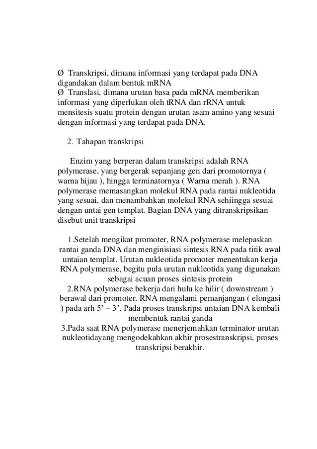 Makalah dna dan protein