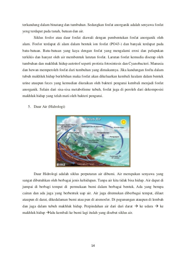 Makalah energi dalam ekosistem Makalah energi dalam ekosistem