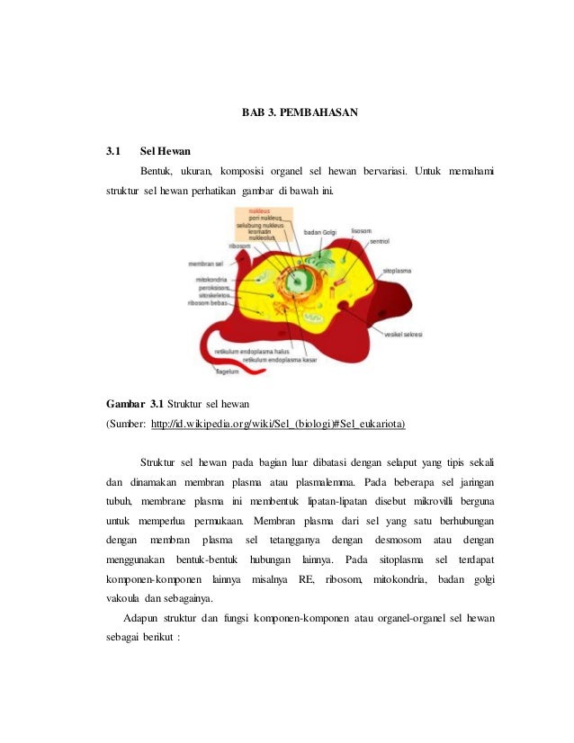 Makalah Fisiologi Hewan  Air Sel