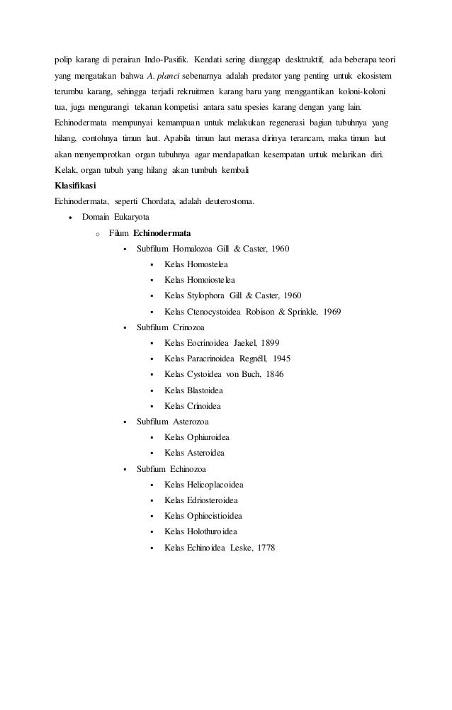 Makalah filum sma negeri 1 raha