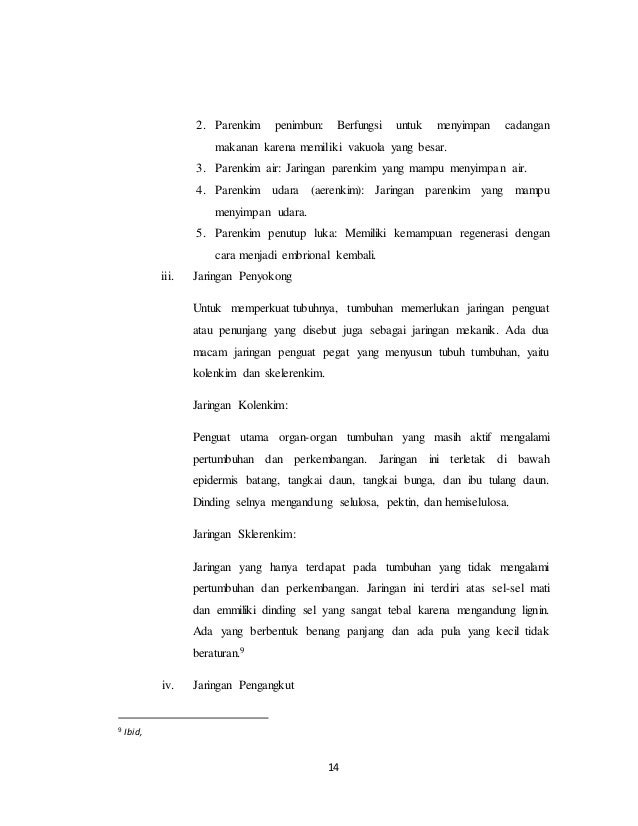 Makalah fisiologi aini.