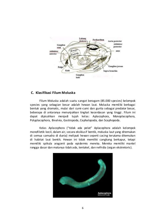  Makalah  fisiologi  hewan  air 