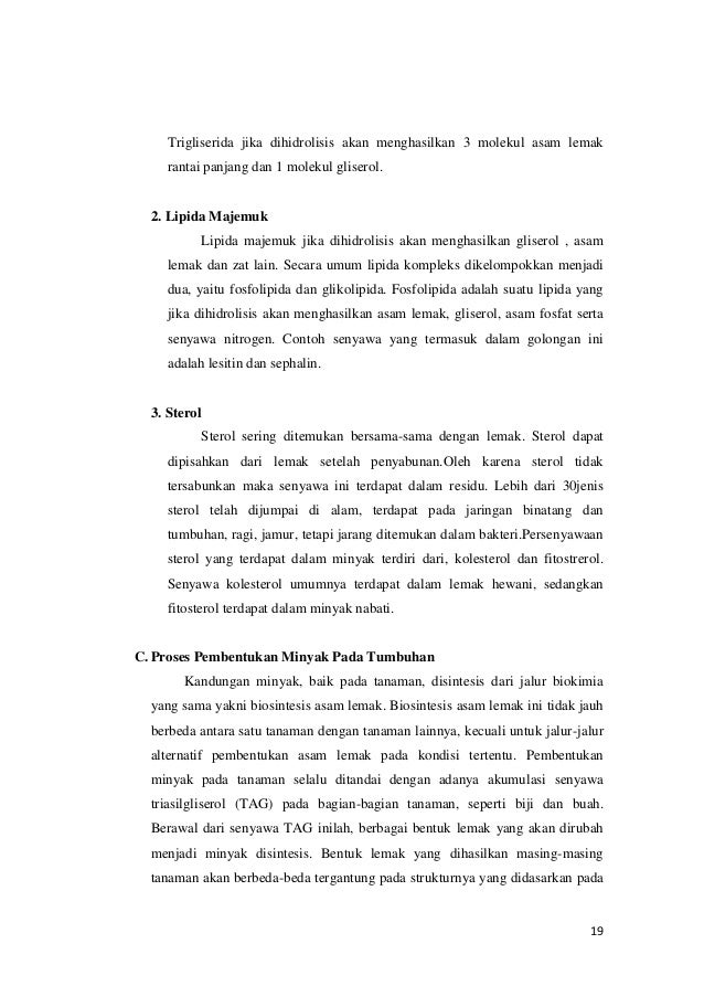 Makalah fisiologi tumbuhan metabolisme sintesis 