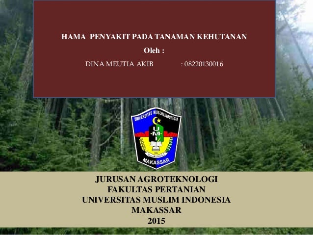 Makalah Hama Pohon Mahoni