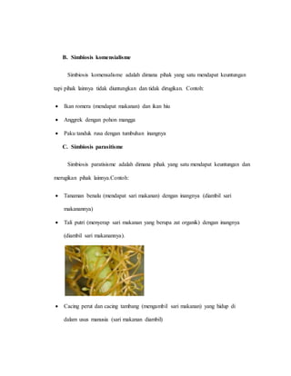 Api Hamria Makalah hamria harisi | DOCX