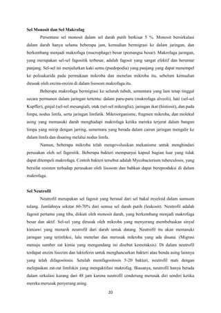 Sel Monosit dan Sel Makrofag
       Persentase sel monosit dalam sel darah putih berkisar 5 %. Monosit bersirkulasi
dalam darah hanya selama beberapa jam, kemudian bermigrasi ke dalam jaringan, dan
berkembang menjadi makrofaga (macrophage) besar (pemangsa besar). Makrofaga jaringan,
yang merupakan sel-sel fagositik terbesar, adalah fagosit yang sangat efektif dan berumur
panjang. Sel-sel ini menjulurkan kaki semu (psedopodia) yang panjang yang dapat menempel
ke polisakarida pada permukaan mikroba dan menelan mikroba itu, sebelum kemudian
dirusak oleh enzim-enzim di dalam lisosom makrofaga itu.
       Beberapa makrofaga bermigrasi ke seluruh tubuh, sementara yang lain tetap tinggal
secara permanen dalam jaringan tertentu: dalam paru-paru (makrofaga alveoli), hati (sel-sel
Kupffer), ginjal (sel-sel mesangial), otak (sel-sel mikroglia), jaringan ikat (histiosit), dan pada
limpa, nodus limfa, serta jaringan limfatik. Mikroorganisme, fragmen mikroba, dan molekul
asing yang memasuki darah menghadapi makrofaga ketika mereka terjerat dalam bangun
limpa yang mirip dengan jarring, sementara yang berada dalam cairan jaringan mengalir ke
dalam limfa dan disaring melalui nodus limfa.
       Namun, beberapa mikroba telah mengevolusikan mekanisme untuk menghindari
perusakan oleh sel fagositik. Beberapa bakteri mempunyai kapsul bagian luar yang tidak
dapat ditempeli makrofaga. Contoh bakteri tersebut adalah Mycobacterium tuberculosis, yang
bersifat resisten terhadap perusakan oleh lisosom dan bahkan dapat bereproduksi di dalam
makrofaga.


Sel Neutrofil
       Neutrofil merupakan sel fagosit yang berasal dari sel bakal myeloid dalam sumsum
tulang. Jumlahnya sekitar 60-70% dari semua sel darah putih (leukosit). Neutrofil adalah
fagosit pertama yang tiba, diikuti oleh monosit darah, yang berkembang menjadi makrofaga
besar dan aktif. Sel-sel yang dirusak oleh mikroba yang menyerang membebaskan sinyal
kimiawi yang menarik neutrofil dari darah untuk datang. Neutrofil itu akan memasuki
jaringan yang terinfeksi, lalu menelan dan merusak mikroba yang ada disana. (Migrasi
menuju sumber zat kimia yang mengundang ini disebut kemotaksis). Di dalam neutrofil
terdapat enzim lisozim dan laktoferin untuk menghancurkan bakteri atau benda asing lainnya
yang telah difagositosis. Setelah memfagositosis 5-20 bakteri, neutrofil mati dengan
melepaskan zat-zat limfokin yang mengaktifasi makrofag. Biasanya, neutrofil hanya berada
dalam sirkulasi kurang dari 48 jam karena neutrofil cenderung merusak diri sendiri ketika
mereka merusak penyerang asing.

                                                20
 