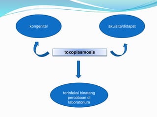 toxoplasmosis
akuisita/didapatkongenital
terinfeksi binatang
percobaan di
laboratorium
 