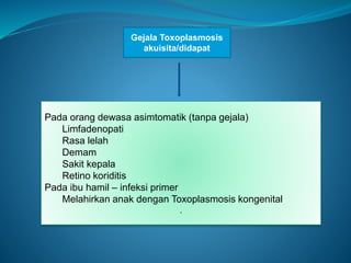 Gejala Toxoplasmosis
akuisita/didapat
Pada orang dewasa asimtomatik (tanpa gejala)
Limfadenopati
Rasa lelah
Demam
Sakit kepala
Retino koriditis
Pada ibu hamil – infeksi primer
Melahirkan anak dengan Toxoplasmosis kongenital
.
 