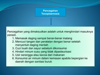 Pencegahan
Toxoplasmosis
Pencegahan yang dimaksudkan adalah untuk menghindari masuknya
parasit.
1. Memasak daging sampai benar-benar matang
2. Mencuci tangan dan peralatan dengan benar setelah
menyentuh daging mentah
3. Cuci buah dan sayur sebelum dikonsumsi
4. Hindari minum susu yang tidak dipasteurisasi
5. Usir serangga atau kecoa dari makanan
6. Konsumsi air minum dalam kemasan apabila bepergian ke
daerah dengan sanitasi buruk
.
 