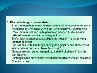 3. Filariasis dengan penyumbatan
Stadium menahun terjadi jaringan granulasi yang proliferatif serta
pelebaran saluran limfe yang luas kemudian timbul elefantiasis
Penyumbatan saluran limfe perut mempengaruhi alat kelamin
laki-laki maupun wanita pada bagian luar.
Elefantiasis mengenai tungkai dan alat kelamin (jaringan yang
longgar di bawah).
Bila saluran limfe kandung kencing dan ginjal pecah akan timbul
kiluria (keluarnya cairan limfe dalam urin).
Gambaran yang sering nampak adalah hidrokel dan limfangitis
alat kelamin.
Limfangitis dan elefantiasis dapat diperberat oleh infeksi sekunder
Streptococcus.
 