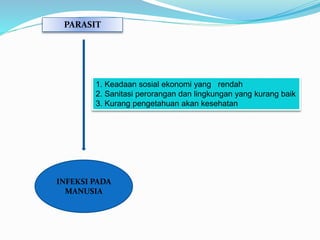 PARASIT
INFEKSI PADA
MANUSIA
1. Keadaan sosial ekonomi yang rendah
2. Sanitasi perorangan dan lingkungan yang kurang baik
3. Kurang pengetahuan akan kesehatan
 