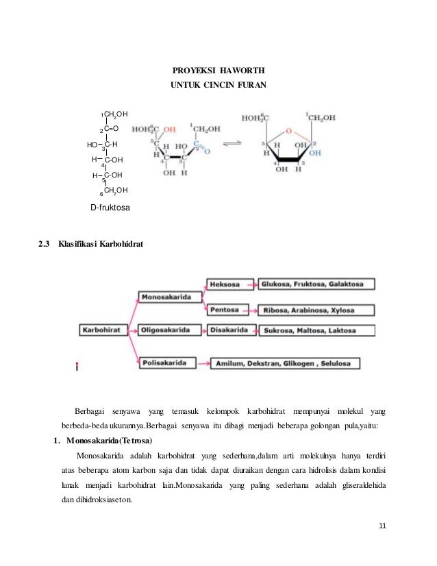 Makalah Karbohidrat