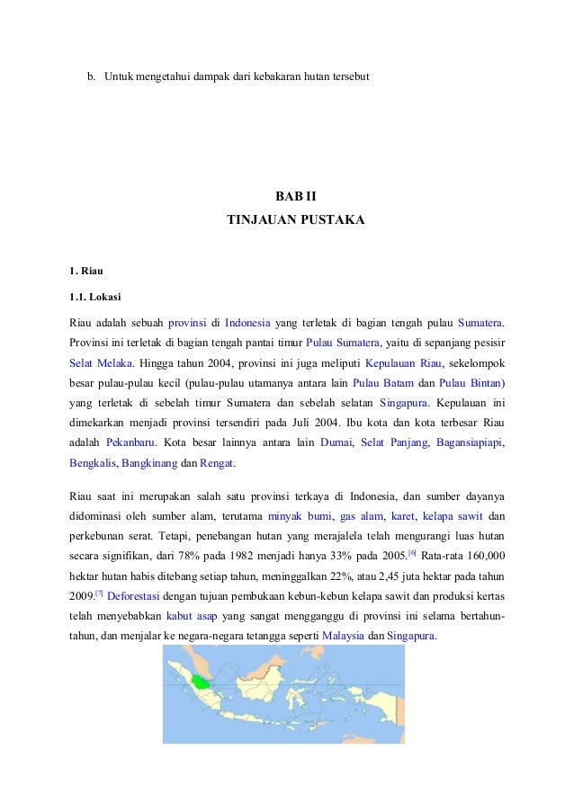 Makalah Kebakaran Hutan Riau