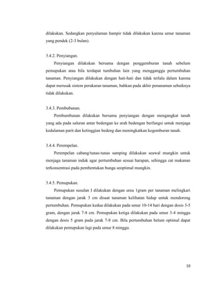 10
dilakukan. Sedangkan penyulaman hampir tidak dilakukan karena umur tanaman
yang pendek (2-3 bulan).
3.4.2. Penyiangan.
Penyiangan dilakukan bersama dengan penggemburan tanah sebelum
pemupukan atau bila terdapat tumbuhan lain yang mengganggu pertumbuhan
tanaman. Penyiangan dilakukan dengan hati-hati dan tidak terlalu dalam karena
dapat merusak sistem perakaran tanaman, bahkan pada akhir penanaman sebaiknya
tidak dilakukan.
3.4.3. Pembubunan.
Pembumbunan dilakukan bersama penyiangan dengan mengangkat tanah
yang ada pada saluran antar bedengan ke arah bedengan berfungsi untuk menjaga
kedalaman parit dan ketinggian bedeng dan meningkatkan kegemburan tanah.
3.4.4. Perempelan.
Perempelan cabang/tunas-tunas samping dilakukan seawal mungkin untuk
menjaga tanaman induk agar pertumbuhan sesuai harapan, sehingga zat makanan
terkonsentrasi pada pembentukan bunga seoptimal mungkin.
3.4.5. Pemupukan.
Pemupukan susulan I dilakukan dengan urea 1gram per tanaman melingkari
tanaman dengan jarak 3 cm disaat tanaman kelihatan hidup untuk mendorong
pertumbuhan. Pemupukan kedua dilakukan pada umur 10-14 hari dengan dosis 3-5
gram, dengan jarak 7-8 cm. Pemupukan ketiga dilakukan pada umur 3-4 minggu
dengan dosis 5 gram pada jarak 7-8 cm. Bila pertumbuhan belum optimal dapat
dilakukan pemupukan lagi pada umur 8 minggu.
 