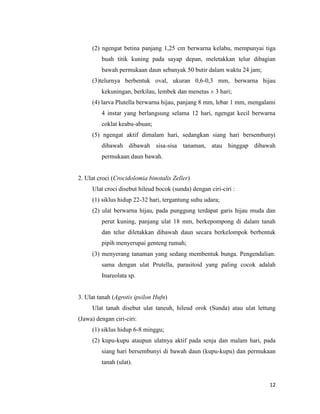 12
(2) ngengat betina panjang 1,25 cm berwarna kelabu, mempunyai tiga
buah titik kuning pada sayap depan, meletakkan telur dibagian
bawah permukaan daun sebanyak 50 butir dalam waktu 24 jam;
(3)telurnya berbentuk oval, ukuran 0,6-0,3 mm, berwarna hijau
kekuningan, berkilau, lembek dan menetas ± 3 hari;
(4) larva Plutella berwarna hijau, panjang 8 mm, lebar 1 mm, mengalami
4 instar yang berlangsung selama 12 hari, ngengat kecil berwarna
coklat keabu-abuan;
(5) ngengat aktif dimalam hari, sedangkan siang hari bersembunyi
dibawah dibawah sisa-sisa tanaman, atau hinggap dibawah
permukaan daun bawah.
2. Ulat croci (Crocidolomia binotalis Zeller)
Ulat croci disebut hileud bocok (sunda) dengan ciri-ciri :
(1) siklus hidup 22-32 hari, tergantung suhu udara;
(2) ulat berwarna hijau, pada punggung terdapat garis hijau muda dan
perut kuning, panjang ulat 18 mm, berkepompong di dalam tanah
dan telur diletakkan dibawah daun secara berkelompok berbentuk
pipih menyerupai genteng rumah;
(3) menyerang tanaman yang sedang membentuk bunga. Pengendalian:
sama dengan ulat Prutella, parasitoid yang paling cocok adalah
Inareolata sp.
3. Ulat tanah (Agrotis ipsilon Hufn)
Ulat tanah disebut ulat taneuh, hileud orok (Sunda) atau ulat lettung
(Jawa) dengan ciri-ciri:
(1) siklus hidup 6-8 minggu;
(2) kupu-kupu ataupun ulatnya aktif pada senja dan malam hari, pada
siang hari bersembunyi di bawah daun (kupu-kupu) dan permukaan
tanah (ulat).
 