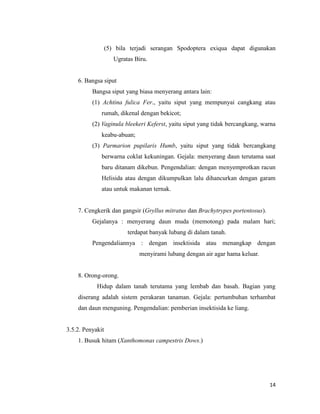 14
(5) bila terjadi serangan Spodoptera exiqua dapat digunakan
Ugratas Biru.
6. Bangsa siput
Bangsa siput yang biasa menyerang antara lain:
(1) Achtina fulica Fer., yaitu siput yang mempunyai cangkang atau
rumah, dikenal dengan bekicot;
(2) Vaginula bleekeri Keferst, yaitu siput yang tidak bercangkang, warna
keabu-abuan;
(3) Parmarion pupilaris Humb, yaitu siput yang tidak bercangkang
berwarna coklat kekuningan. Gejala: menyerang daun terutama saat
baru ditanam dikebun. Pengendalian: dengan menyemprotkan racun
Helisida atau dengan dikumpulkan lalu dihancurkan dengan garam
atau untuk makanan ternak.
7. Cengkerik dan gangsir (Gryllus mitratus dan Brachytrypes portentosus).
Gejalanya : menyerang daun muda (memotong) pada malam hari;
terdapat banyak lubang di dalam tanah.
Pengendaliannya : dengan insektisida atau menangkap dengan
menyirami lubang dengan air agar hama keluar.
8. Orong-orong.
Hidup dalam tanah terutama yang lembab dan basah. Bagian yang
diserang adalah sistem perakaran tanaman. Gejala: pertumbuhan terhambat
dan daun menguning. Pengendalian: pemberian insektisida ke liang.
3.5.2. Penyakit
1. Busuk hitam (Xanthomonas campestris Dows.)
 