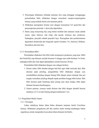 7
3. Penyiangan dilakukan terhadap tanaman lain yang dianggap mengganggu
pertumbuhan bibit, dilakukan dengan mencabuti rumput-rumput/gulma
lainnya yang tumbuh disela-sela tanaman pokok.
4. Dilakukan pemupukan larutan urea dengan konsentrasi 0,5 gram/liter dan
penyemprotan pestisida ½ dosis jika diperlukan.
5. Hama yang menyerang biji yang belum tumbuh dan tanaman muda adalah
semut, siput, bekicot, ulat tritip, ulat pucuk, molusca dan cendawan.
Sedangkan, penyakit adalah penyakit layu. Pencegahan dan pemberantasan
digunakan Insektisida dan fungisida seperti Furadan 3 G, Antrocol, Dithane,
Hostathion dan lain-lain.
3.1.5. Pemindahan Bibit
Pemindahan dilakukan bila bibit telah mempunyai perakaran yang kuat. Bibit
dari benih/biji siap ditanam setelah berumur 6 minggu atau telah berdaun 5-6 helai,
sedangkan bibit dari stek dapat dipindahkan setelah berumur 28 hari.
Pemindahan bibit dilakukan dengan cara sebagai berikut:
1. Sistem cabut, bibit dicabut dengan hati-hati agar tidak merusak akar. Bila
disemai pada polybag, pengambilan bibit dilakukan dengan cara
membalikkan polybag dengan batang bibit dijepit antara telunjuk dan jari
tengah, kemudian polybag ditepuk-tepuk perlahan hingga bibit keluar. Bila
bibit disemai pada bumbung daun pisang atau daun kelapa, bibit dapat
ditanam bersama bumbungnya.
2. Sistem putaran, caranya tanah disiram dan bibit dengan diambil beserta
tanahnya 2,5-3 cm dari batang dengan kedalaman 5 cm.
3.2. Pengolahan Media Tanam
3.2.1. Persiapan
Lahan sebaiknya bukan lahan bekas ditanami tanaman famili Cruciferae
lainnya. Dilakukan pengukuran pH dan analisa tanah tentang kandungan bahan
organiknya untuk mengetahui kecocokan lahan ditanami kol/kubis.
 