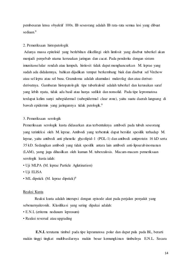 Makalah Kusta