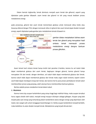 Dalam bentuk trigliserida, lemak disintesis menjadi asam lemak dan glliserol, seperti yang
dijelaskan pada gambar dibawah. asam lemak dan gliserol ini lah yang masuk kedalam proses
metabolisme energi.

pada prosesnya, gliserol dan asam lemak memerlukan glukosa untuk memasuki siklus krebs atau
biasanya dikenal dengan TCA, dengan memasuki siklus ini gliserol dan asam lemak dapat diubah menjadi
energi, seperti dijelaskan pada gambar jalur metabolisme lemak di bawah ini.

gambar diatas menjelaskan bahwa asam
lemak dan gliserol yang merupakan hasil
sintesis

lemak

metabolisme

memasuki

energi

dengna

proses
bantuan

proses glikolisis .

Asam lemak hasil sintesis lemak hanya terdiri dari pecahan 2-karbon, karena itu sel tubuh tidak
dapat membentuk glukosa dari asam lemak, begitupun dengan gliserol, karena gliserol hanya
merupakan 5% dari lemak. dengan demikian, sel tubuh tidak dapat membentuk glukosa dari lemak.
karena tubuh tidak dapat membentuk glukosa dari lemak maka organ tubuh tertentu seperti sistem
saraf tidak dapat mendapat energi dari lemak, dan karena hal itu pula proses pembakaran lemak tubuh
membutuhkan proses yang panjang, salah satunya harus membutuhkan bantuan glukosa.
Berikut adalah proses metabolism lemak dalam tubuh
1. Biosintesis
Karena irama laju asupan karbohidrat yang cukup tinggi bagi makhluk hidup, maka asupan tersebut
harus segera diolah oleh tubuh, menjadi energi maupun disimpan sebagai glikogen. Asupan yang baik
terjadi pada saat energi yang terkandung dalam karbohidrat setara dengan energi yang diperlukan oleh
tubuh, dan sangat sulit untuk menggapai keseimbangan ini. Ketika asupan karbohidrat menjadi berlebih,
maka kelebihan itu akan diubah menjadi lemak. Metabolisme yang terjadi dimulai dari:

13

 