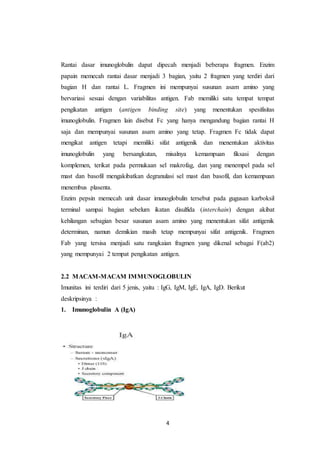 4
Rantai dasar imunoglobulin dapat dipecah menjadi beberapa fragmen. Enzim
papain memecah rantai dasar menjadi 3 bagian, yaitu 2 fragmen yang terdiri dari
bagian H dan rantai L. Fragmen ini mempunyai susunan asam amino yang
bervariasi sesuai dengan variabilitas antigen. Fab memiliki satu tempat tempat
pengikatan antigen (antigen binding site) yang menentukan spesifisitas
imunoglobulin. Fragmen lain disebut Fc yang hanya mengandung bagian rantai H
saja dan mempunyai susunan asam amino yang tetap. Fragmen Fc tidak dapat
mengikat antigen tetapi memiliki sifat antigenik dan menentukan aktivitas
imunoglobulin yang bersangkutan, misalnya kemampuan fiksasi dengan
komplemen, terikat pada permukaan sel makrofag, dan yang menempel pada sel
mast dan basofil mengakibatkan degranulasi sel mast dan basofil, dan kemampuan
menembus plasenta.
Enzim pepsin memecah unit dasar imunoglobulin tersebut pada gugusan karboksil
terminal sampai bagian sebelum ikatan disulfida (interchain) dengan akibat
kehilangan sebagian besar susunan asam amino yang menentukan sifat antigenik
determinan, namun demikian masih tetap mempunyai sifat antigenik. Fragmen
Fab yang tersisa menjadi satu rangkaian fragmen yang dikenal sebagai F(ab2)
yang mempunyai 2 tempat pengikatan antigen.
2.2 MACAM-MACAM IMMUNOGLOBULIN
Imunitas ini terdiri dari 5 jenis, yaitu : IgG, IgM, IgE, IgA, IgD. Berikut
deskripsinya :
1. Imunoglobulin A (IgA)
 