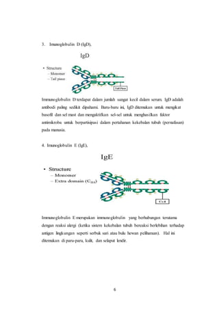 6
3. Imunoglobulin D (IgD),
Immunoglobulin D terdapat dalam jumlah sangat kecil dalam serum. IgD adalah
antibodi paling sedikit dipahami. Baru-baru ini, IgD ditemukan untuk mengikat
basofil dan sel mast dan mengaktifkan sel-sel untuk menghasilkan faktor
antimikroba untuk berpartisipasi dalam pertahanan kekebalan tubuh (pernafasan)
pada manusia.
4. Imunoglobulin E (IgE),
Immunoglobulin E merupakan immunoglobulin yang berhubungan terutama
dengan reaksi alergi (ketika sistem kekebalan tubuh bereaksi berlebihan terhadap
antigen lingkungan seperti serbuk sari atau bulu hewan peliharaan). Hal ini
ditemukan di paru-paru, kulit, dan selaput lendir.
 