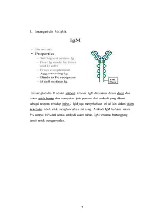 7
5. Imunoglobulin M (IgM),
Immunoglobulin M adalah antibodi terbesar. IgM ditemukan dalam darah dan
cairan getah bening dan merupakan jenis pertama dari antibodi yang dibuat
sebagai respons terhadap infeksi. IgM juga menyebabkan sel-sel lain dalam sistem
kekebalan tubuh untuk menghancurkan zat asing. Antibodi IgM berkisar antara
5% sampai 10% dari semua antibodi dalam tubuh. IgM terutama bertanggung
jawab untuk penggumpalan.
 