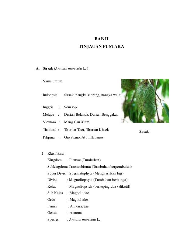 Makalah Materia Medika dan Terapi