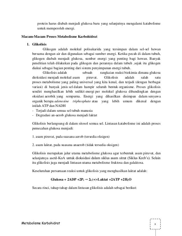 Makalah Metabolisme Pdf Contoh Makalah