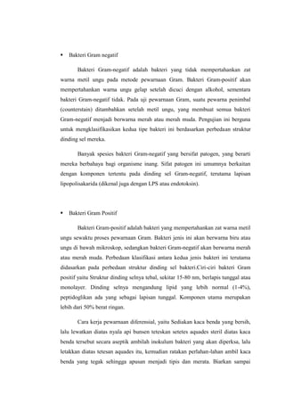    Bakteri Gram negatif

       Bakteri Gram-negatif adalah bakteri yang tidak mempertahankan zat
warna metil ungu pada metode pewarnaan Gram. Bakteri Gram-positif akan
mempertahankan warna ungu gelap setelah dicuci dengan alkohol, sementara
bakteri Gram-negatif tidak. Pada uji pewarnaan Gram, suatu pewarna penimbal
(counterstain) ditambahkan setelah metil ungu, yang membuat semua bakteri
Gram-negatif menjadi berwarna merah atau merah muda. Pengujian ini berguna
untuk mengklasifikasikan kedua tipe bakteri ini berdasarkan perbedaan struktur
dinding sel mereka.

       Banyak spesies bakteri Gram-negatif yang bersifat patogen, yang berarti
mereka berbahaya bagi organisme inang. Sifat patogen ini umumnya berkaitan
dengan komponen tertentu pada dinding sel Gram-negatif, terutama lapisan
lipopolisakarida (dikenal juga dengan LPS atau endotoksin).




   Bakteri Gram Positif

       Bakteri Gram-positif adalah bakteri yang mempertahankan zat warna metil
ungu sewaktu proses pewarnaan Gram. Bakteri jenis ini akan berwarna biru atau
ungu di bawah mikroskop, sedangkan bakteri Gram-negatif akan berwarna merah
atau merah muda. Perbedaan klasifikasi antara kedua jenis bakteri ini terutama
didasarkan pada perbedaan struktur dinding sel bakteri.Ciri-ciri bakteri Gram
positif yaitu Struktur dinding selnya tebal, sekitar 15-80 nm, berlapis tunggal atau
monolayer. Dinding selnya mengandung lipid yang lebih normal (1-4%),
peptidoglikan ada yang sebagai lapisan tunggal. Komponen utama merupakan
lebih dari 50% berat ringan.

       Cara kerja pewarnaan diferensial, yaitu Sediakan kaca benda yang bersih,
lalu lewatkan diatas nyala api bunsen teteskan setetes aquades steril diatas kaca
benda tersebut secara aseptik ambilah inokulum bakteri yang akan diperksa, lalu
letakkan diatas tetesan aquades itu, kemudian ratakan perlahan-lahan ambil kaca
benda yang tegak sehingga apusan menjadi tipis dan merata. Biarkan sampai
 