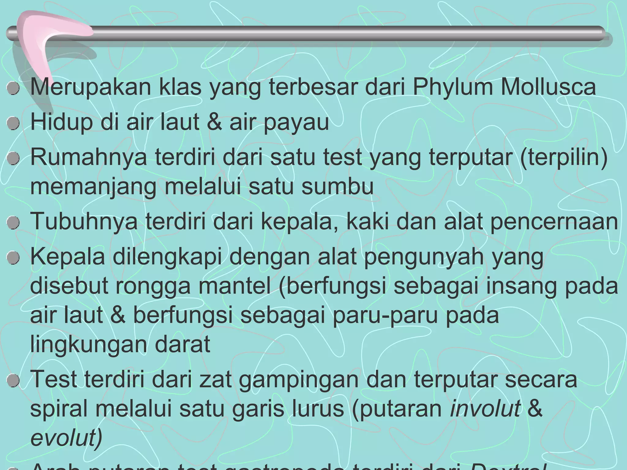 Merupakan klas yang terbesar dari Phylum Mollusca 
Hidup di air laut & air payau 
Rumahnya terdiri dari satu test yang terputar (terpilin) 
memanjang melalui satu sumbu 
Tubuhnya terdiri dari kepala, kaki dan alat pencernaan 
Kepala dilengkapi dengan alat pengunyah yang 
disebut rongga mantel (berfungsi sebagai insang pada 
air laut & berfungsi sebagai paru-paru pada 
lingkungan darat 
Test terdiri dari zat gampingan dan terputar secara 
spiral melalui satu garis lurus (putaran involut & 
evolut) 
Arah putaran test gastropoda terdiri dari Dextral 
 