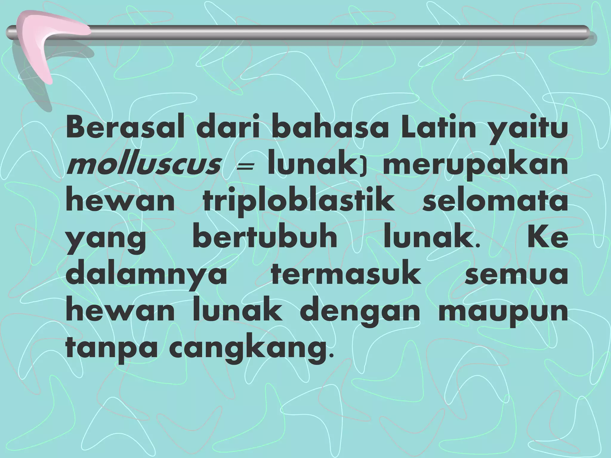 Berasal dari bahasa Latin yaitu 
molluscus = lunak) merupakan 
hewan triploblastik selomata 
yang bertubuh lunak. Ke 
dalamnya termasuk semua 
hewan lunak dengan maupun 
tanpa cangkang. 
 